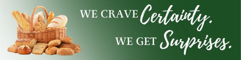 We Crave Certainty. We Get Surprises.